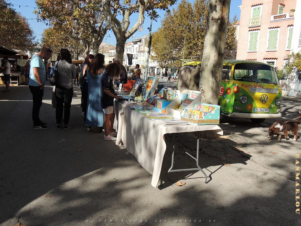 2024 11 02 EN FLANANT SUR SANARY (40).jpg